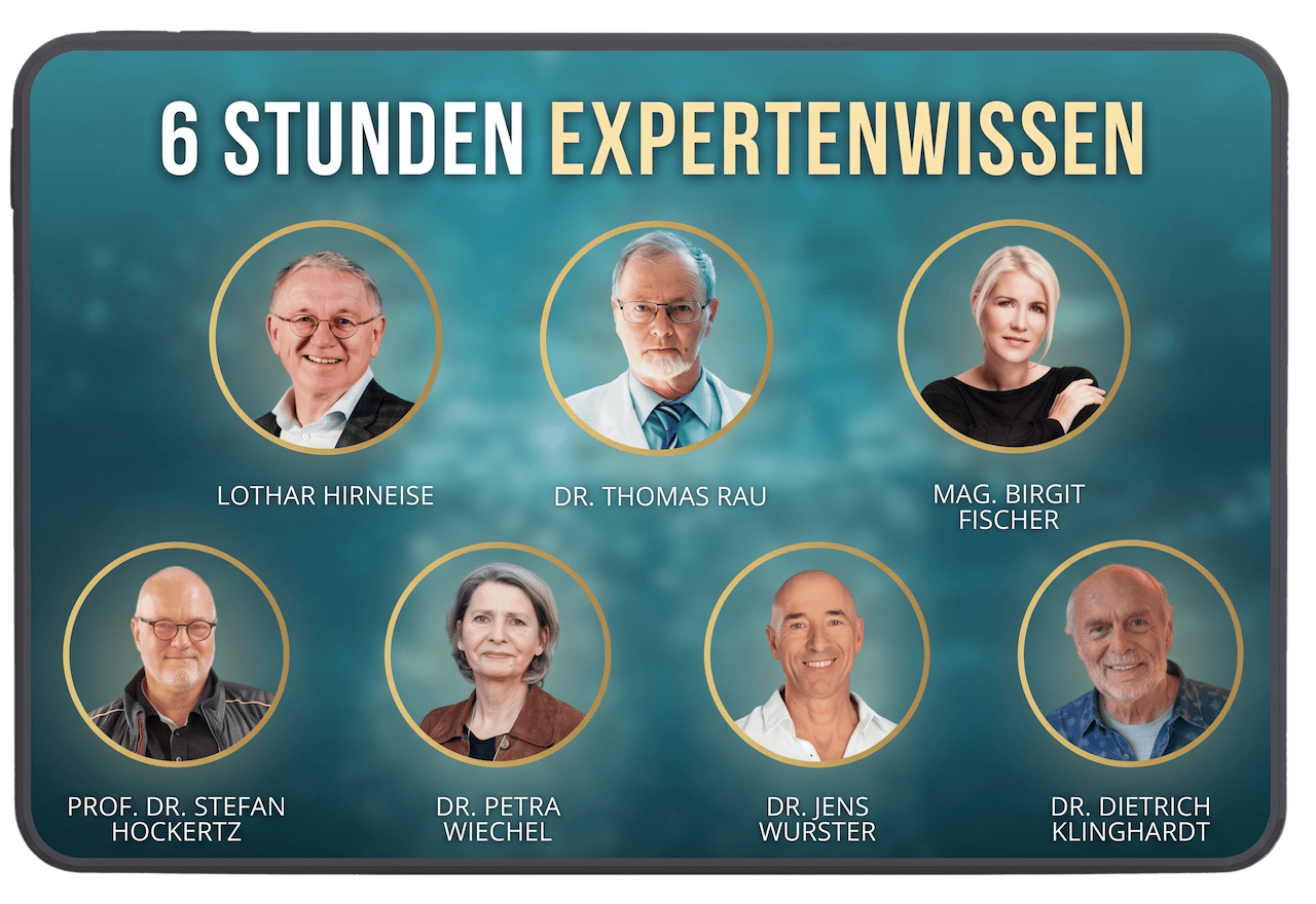 6 Stunden Expertenwissen